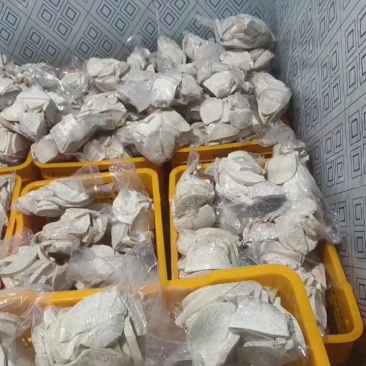【精选】广西荔浦芋芋头产地直发视频看货量大从优