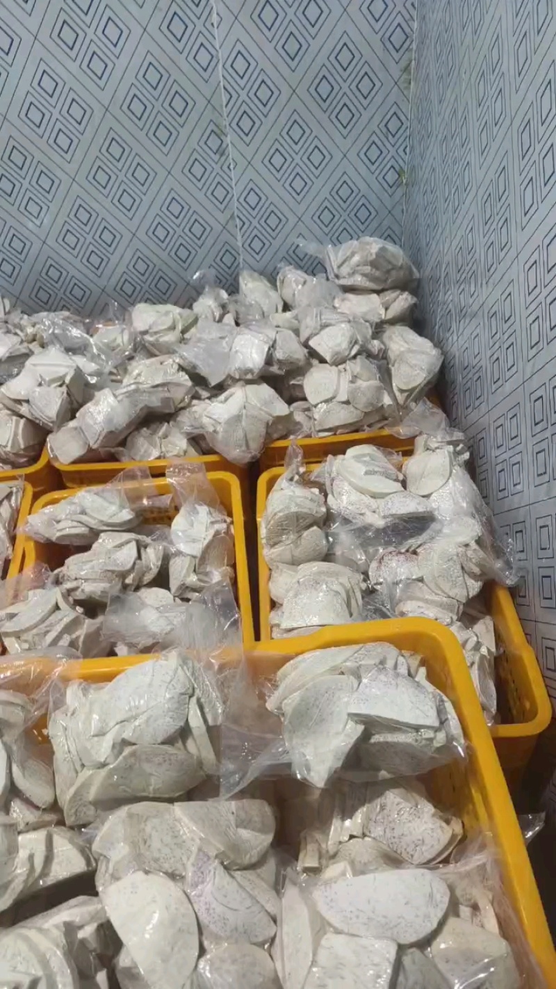 【精选】广西荔浦芋芋头产地直发视频看货量大从优