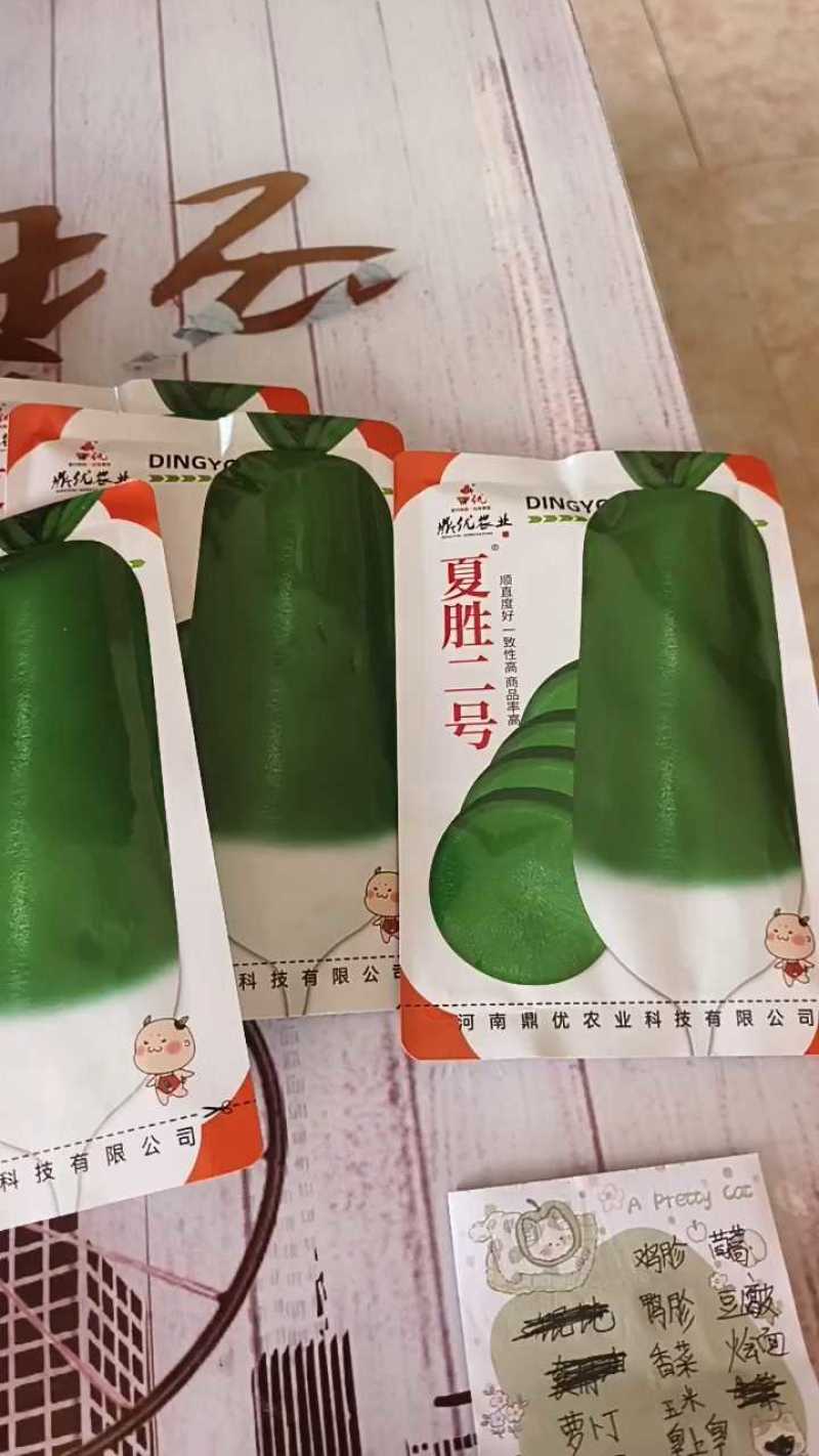 夏胜二号四季罗卜耐热罗卜种子深绿色小板叶一亩15000斤