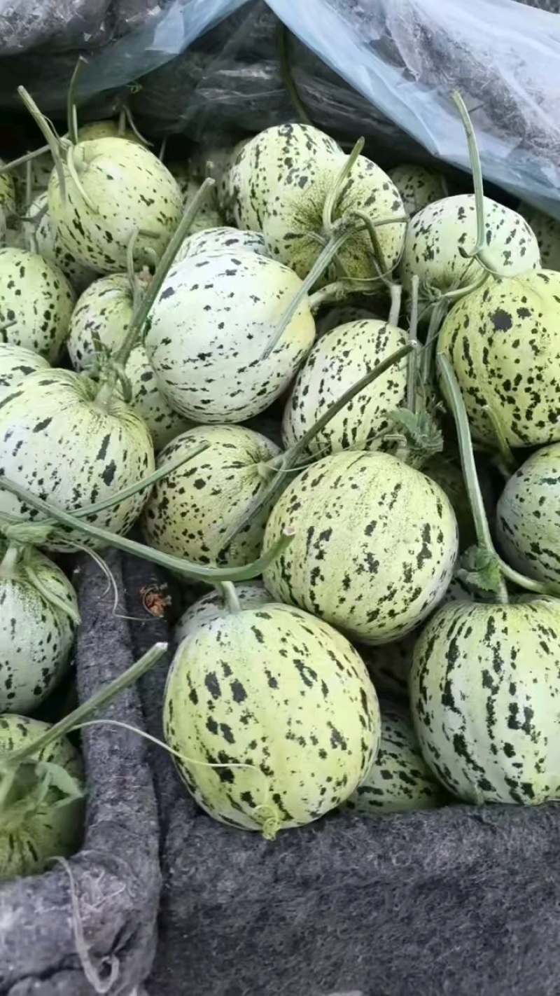香瓜饼，多规格可选。