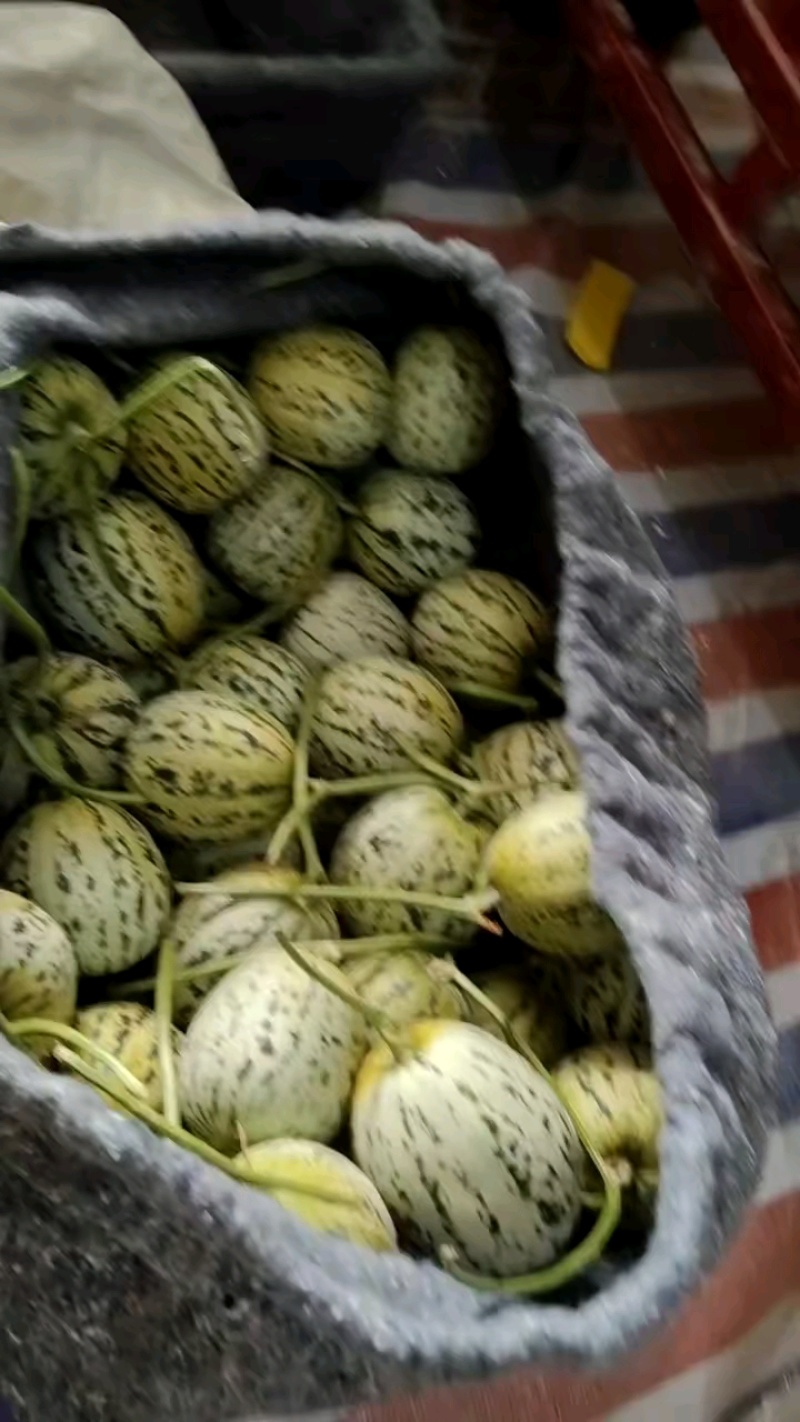 打包装车中，货量充足！