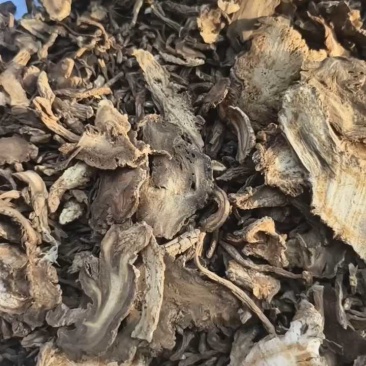 独活独活大统片产地四川省紫轩堂药业