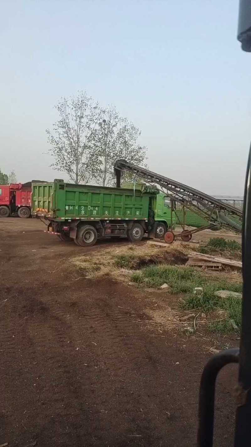 发酵牛粪纯牛粪有机肥山东产地直供货源充足量大优惠来电优惠
