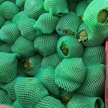 4月6日球生菜，质量好价位不高，老板联系！