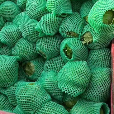 4月6日球生菜，质量好价位不高，老板联系！