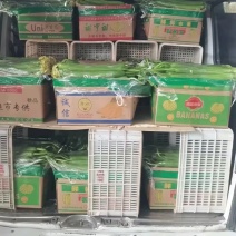 原纸箱丝瓜20元，广东货质量好。