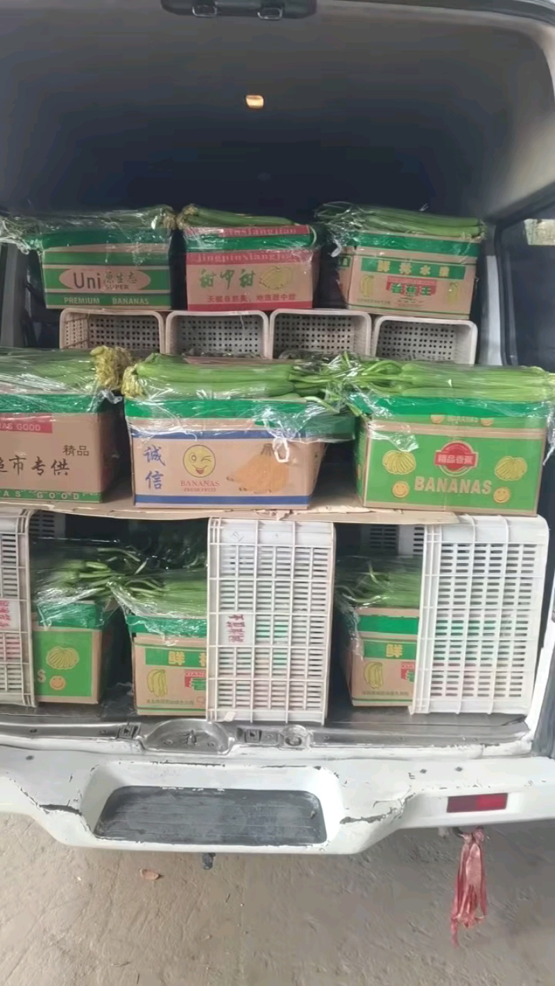 原纸箱丝瓜20元，广东货质量好。