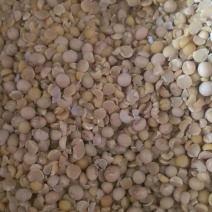 碎黄豆精品碎黄豆，包邮到家，品质优良，无霉变