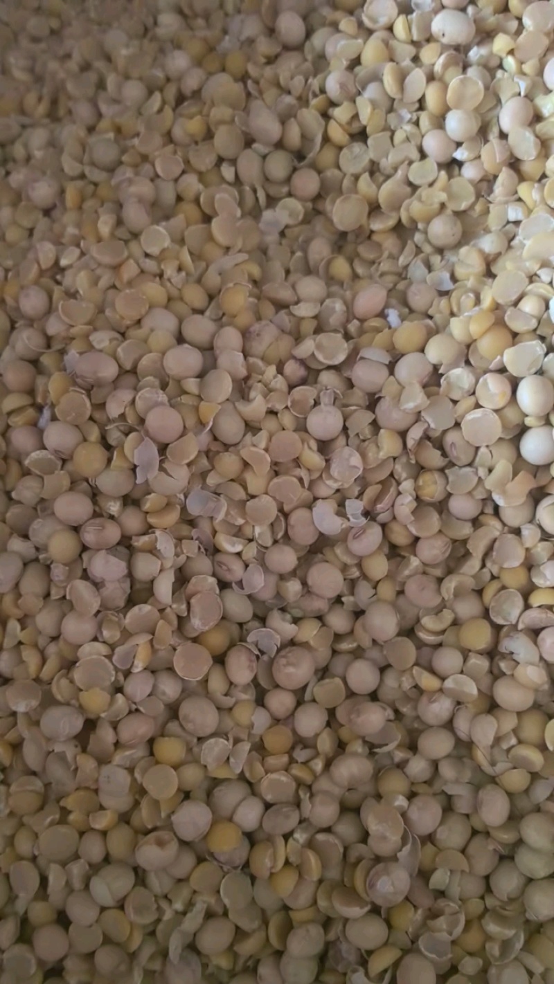 碎黄豆精品碎黄豆，包邮到家，品质优良，无霉变