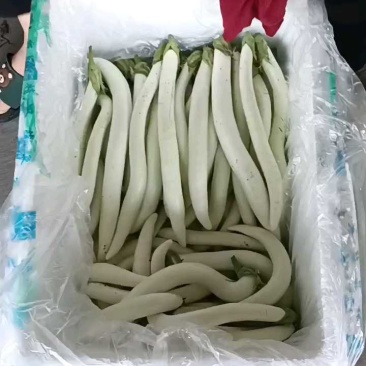 开始发货，次品较多，注意品质。