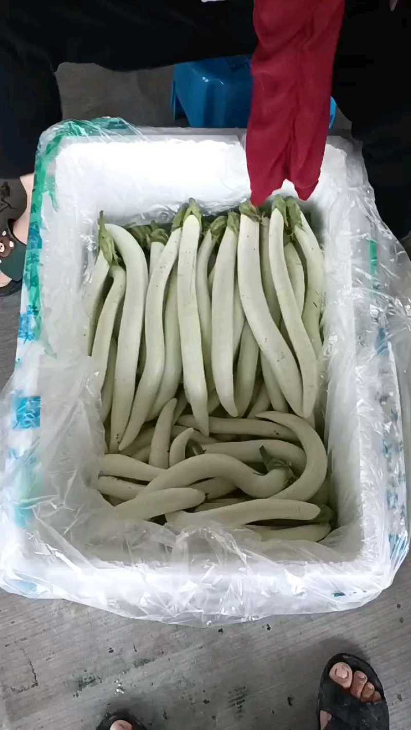 开始发货，次品较多，注意品质。