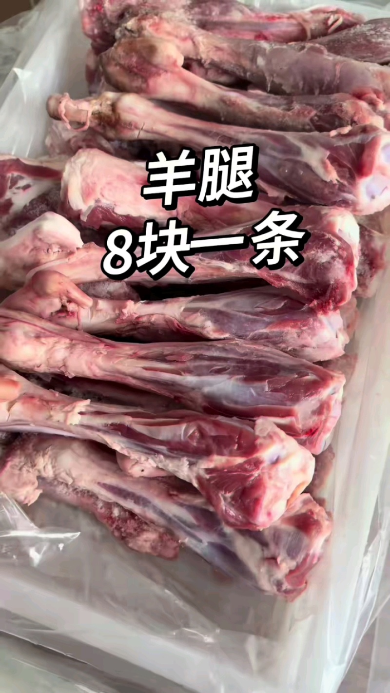 羊腿批发价8元一条，带腱子肉拐筋！