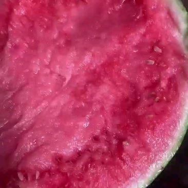 西瓜美都西瓜，麒麟西瓜，小薄皮大红壤，保质保量，货源充足