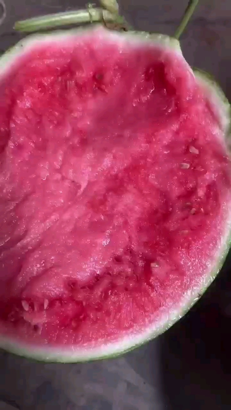 西瓜美都西瓜，麒麟西瓜，小薄皮大红壤，保质保量，货源充足