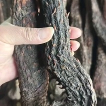 内蒙古阿拉善油肉苁蓉(一件代发)，正宗品质