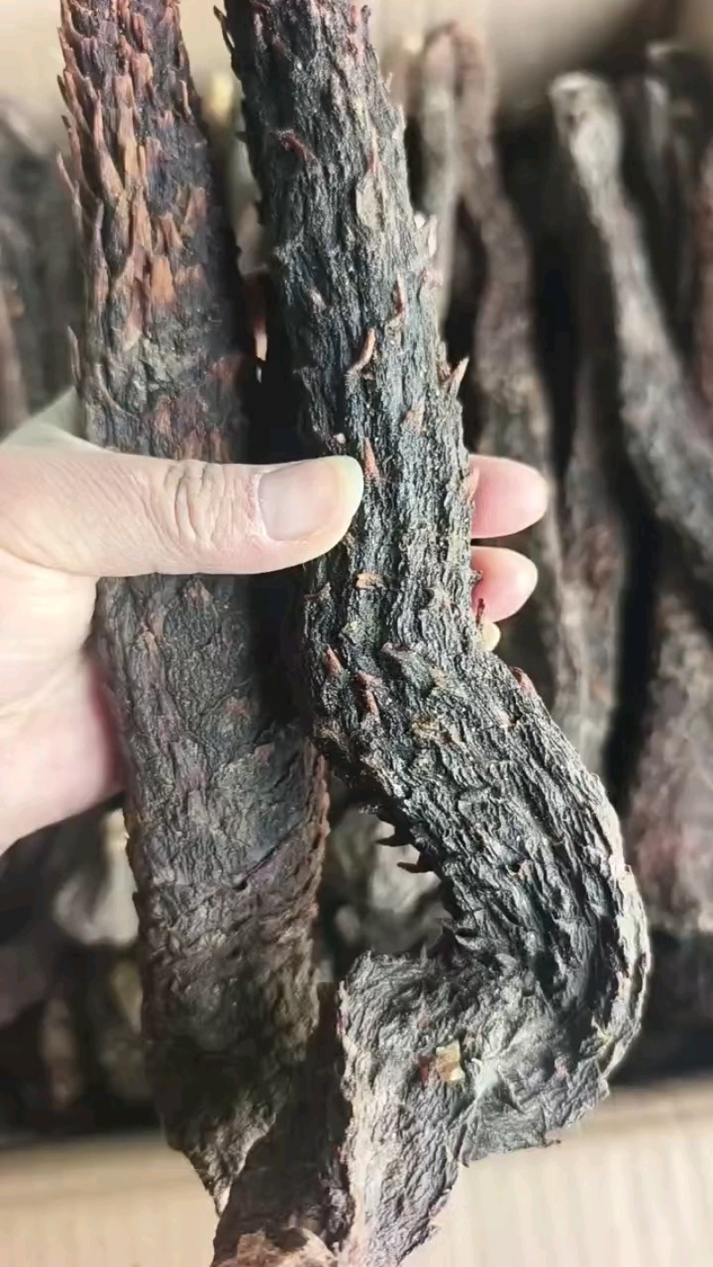 内蒙古阿拉善油肉苁蓉(一件代发)，正宗品质