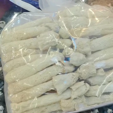 宁夏菌业大量批发竹荪