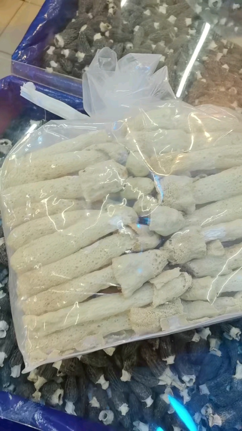 宁夏菌业大量批发竹荪
