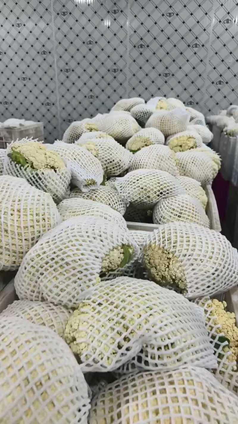 有机花菜，花菜，产地一条龙服务，看货论价，量大从优