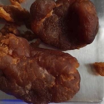 自家养的鸡产的鸡宝价格可谈欢迎老板来电