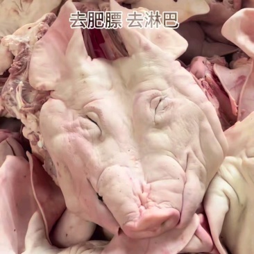 猪腹价格抄底，鸿运当头小头低价！