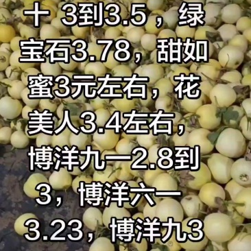 星甜20甜瓜大量上市中价格从优产地一手货源，致电有优惠