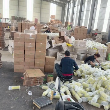 羊角蜜甜瓜精品电商货新鲜打包产地直发支持一件代发电商批