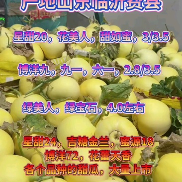 小蜜蜂受粉星甜20，24【原产地]供应电商，市场超市量！