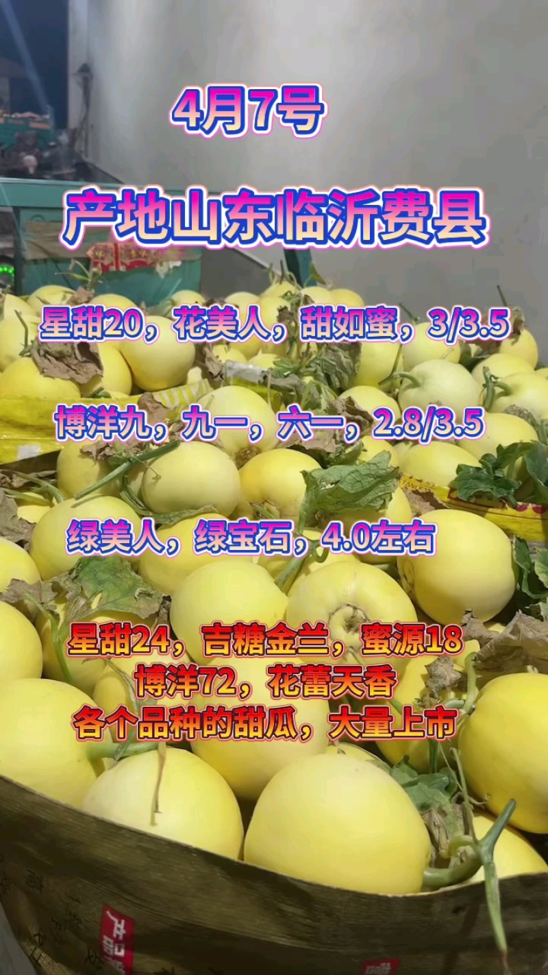 小蜜蜂受粉星甜20，24【原产地]供应电商，市场超市量！
