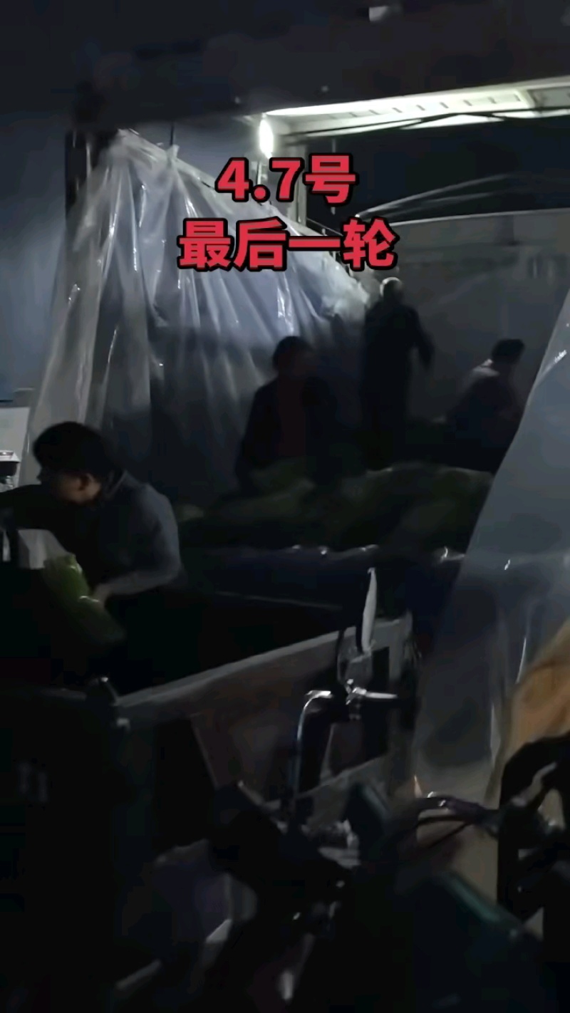 2026年早熟红帽蒜薹大量供应，实力代办每天供应50吨