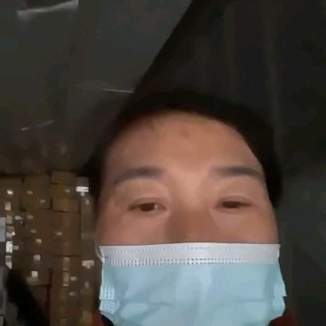 猪食管猪红肠一箱20斤75条左右