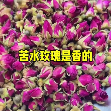 兰州苦水玫瑰花蕾(一件代发)无硫自然晾晒原产地直发