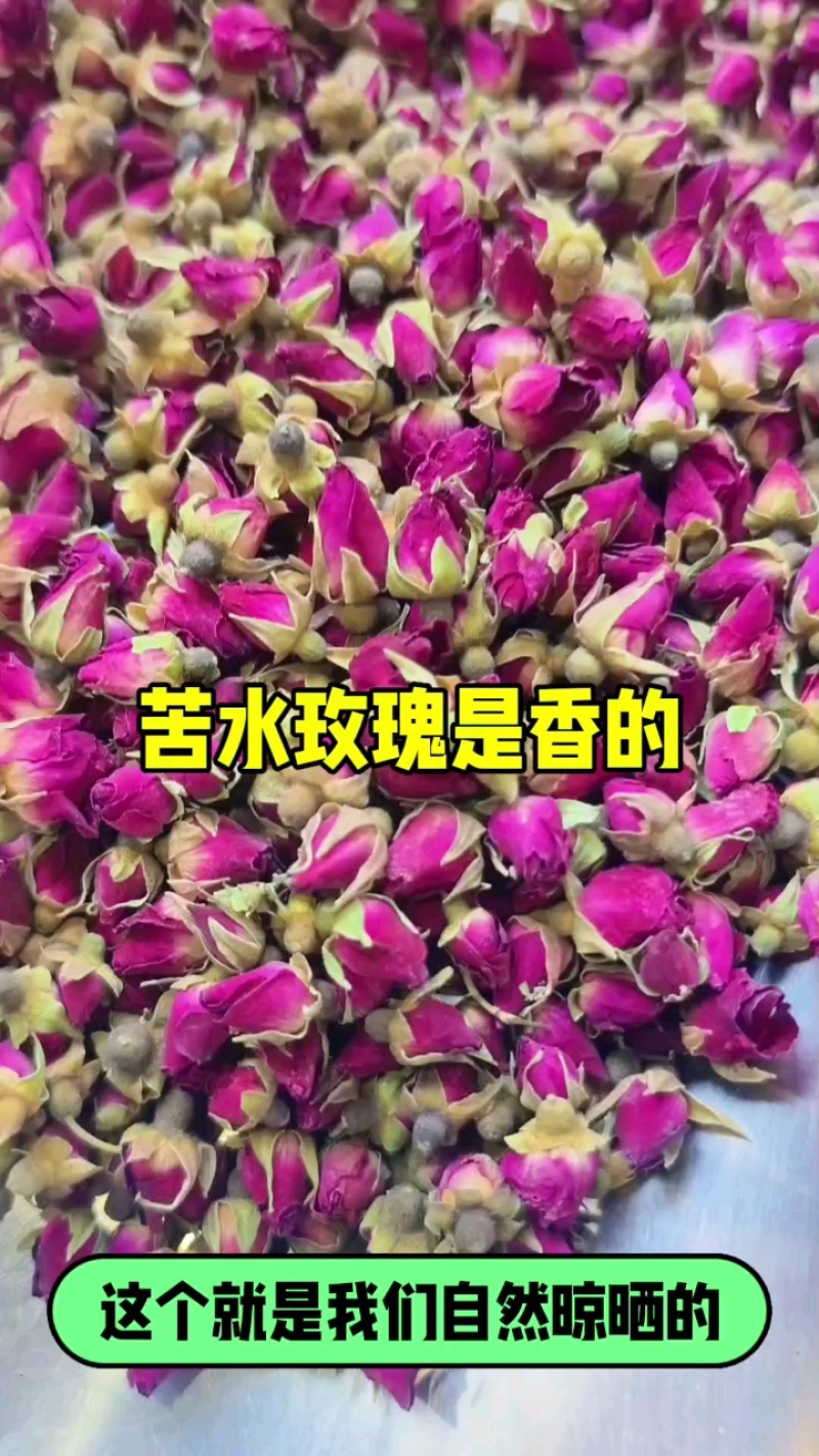 兰州苦水玫瑰花蕾(一件代发)无硫自然晾晒原产地直发