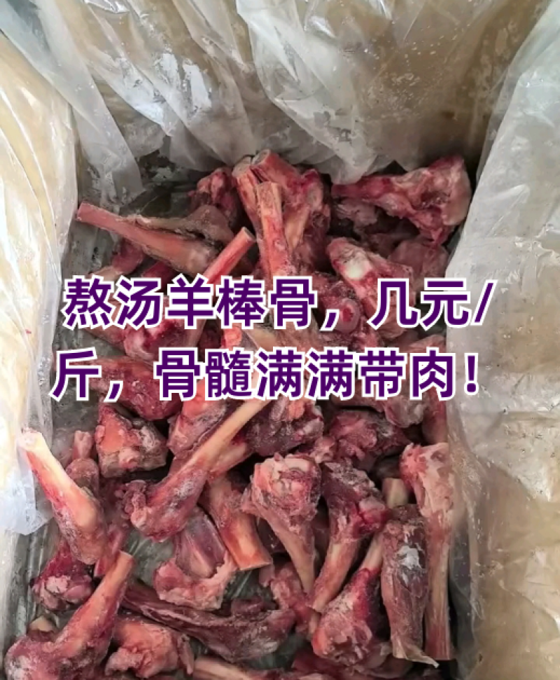 带肉羊棒骨，满肉羊棒骨，适合卤炖，红烧，麻辣炖锅佳品！