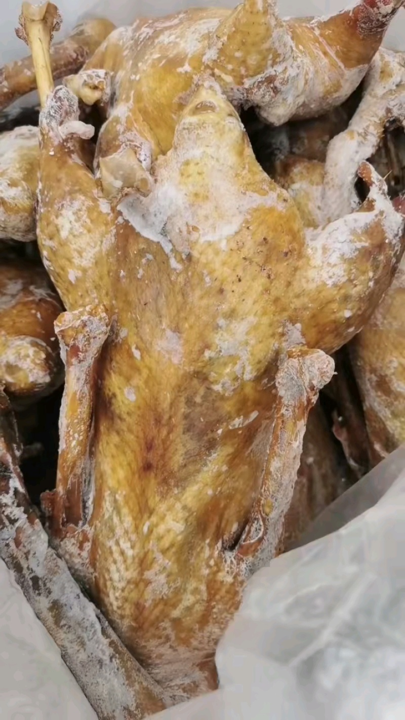 卤鹅荣昌卤鹅熟食卤味一手货源库房现货供应品质保证