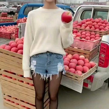 万亩红富士苹果大量上市，条红，片红，全红红富士苹果，产地