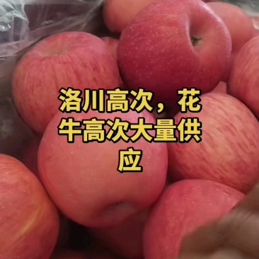 质量与价格并存，性价比之选。