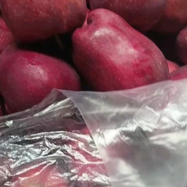 花牛一米多，刀剪品质好