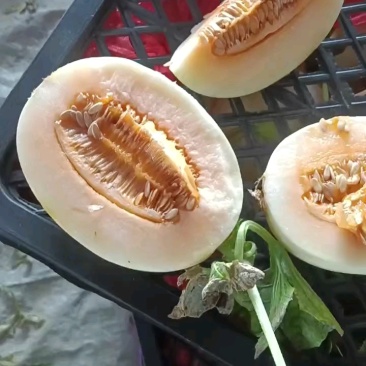 精品东方蜜，黄肉超甜，口感**！