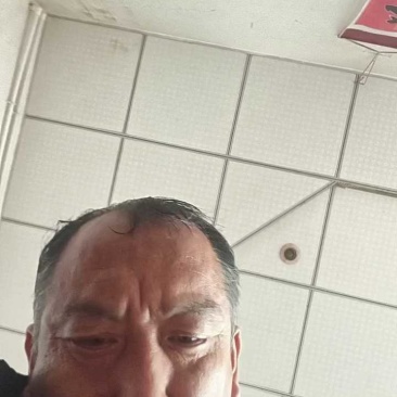 黄元帅苹果套网箱装，一二级果，大量有货，富士苹果