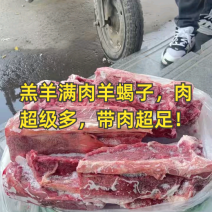 羊蝎子，满肉羊蝎子，质量保证，厂家发货，量大从优