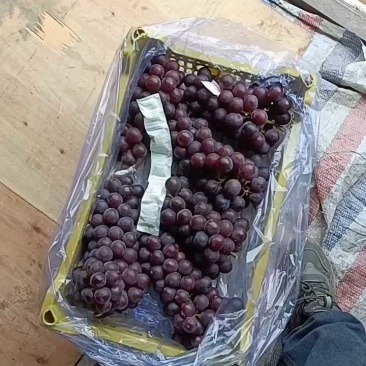 辽宁北镇冷库巨丰大量现货价格便宜