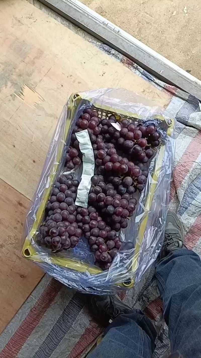 辽宁北镇冷库巨丰大量现货价格便宜