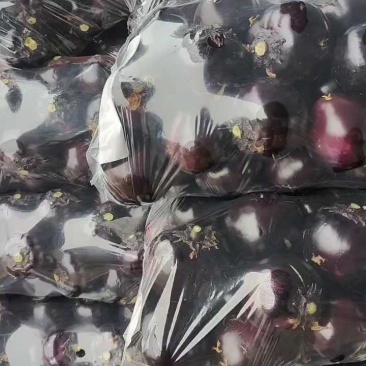 山东果蔬基地紫光圆茄子紫圆茄品质优等对接全国市场