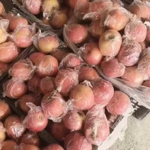 红富士苹果，脆甜，色泽红，果面干净。产地直销全国代发。
