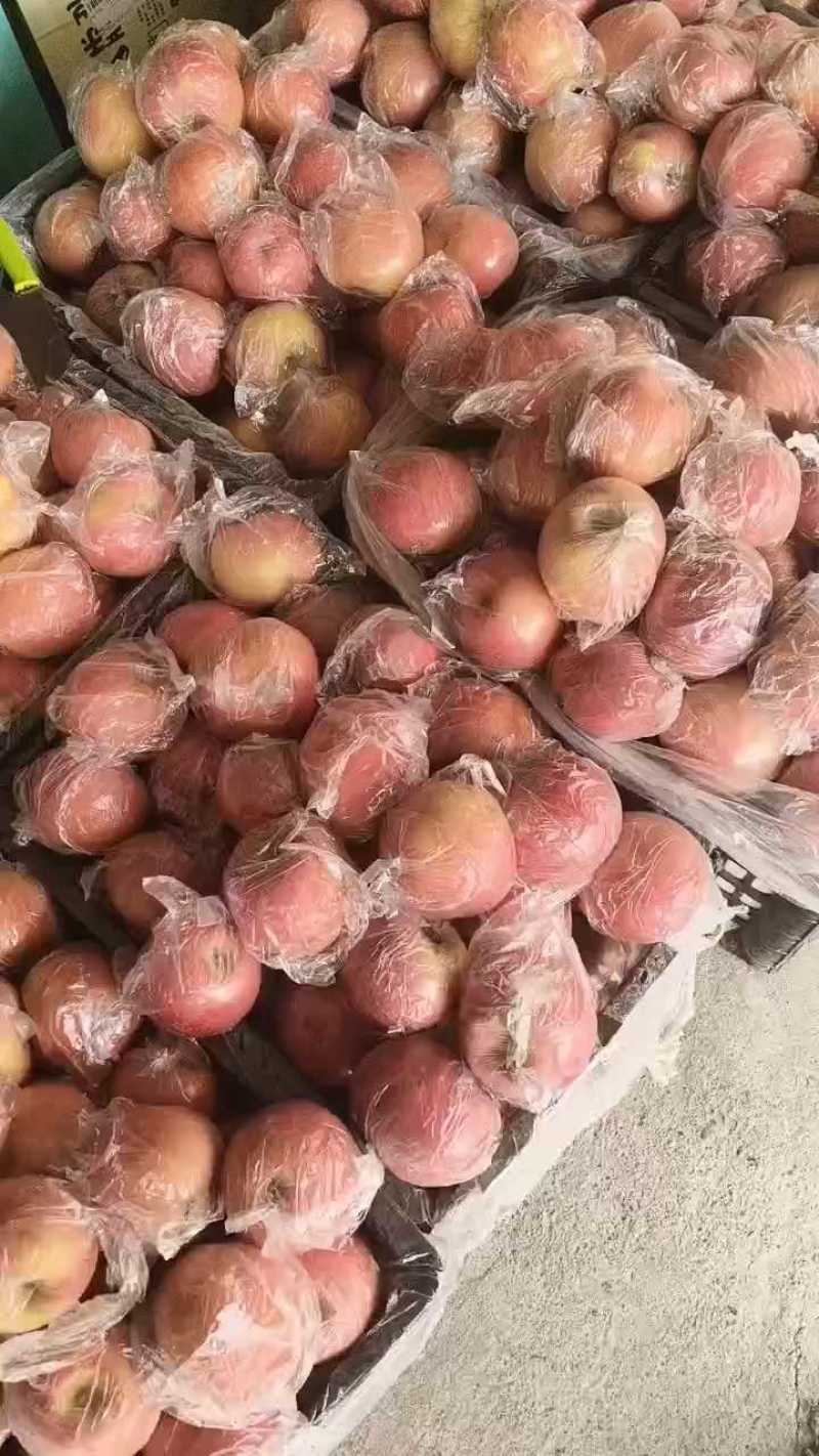 红富士苹果，脆甜，色泽红，果面干净。产地直销全国代发。