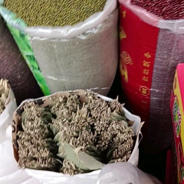 新鲜干粽叶
