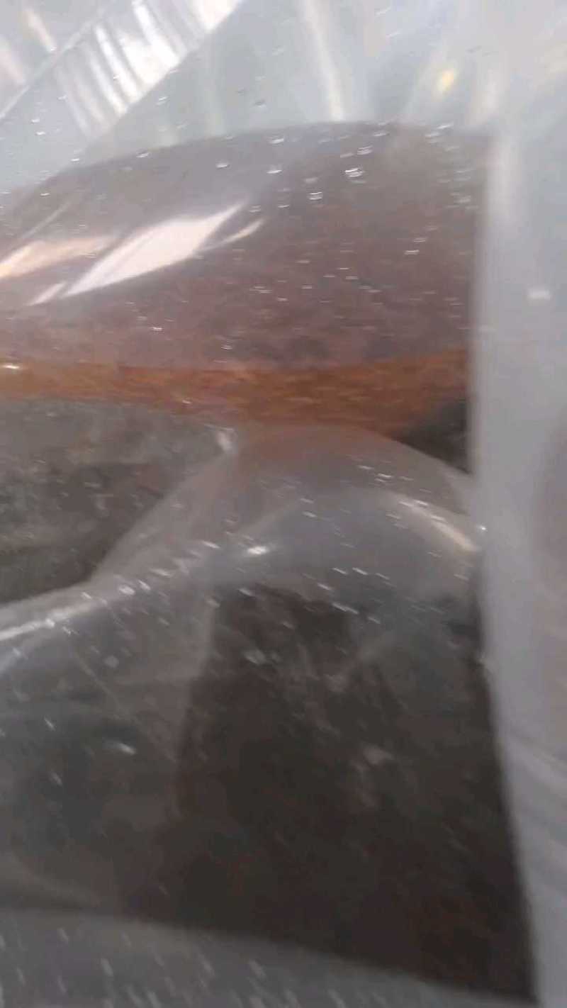 红罗非鱼苗彩红鲷罗非鱼苗各种齐全鱼苗批发