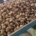 精品毛芋头芋头8520牛奶芋头电商超市商超