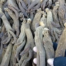 十年高丽参，1800元/斤，色泽好！